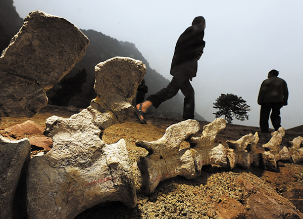 �������ʯ������һ��Ĵ���