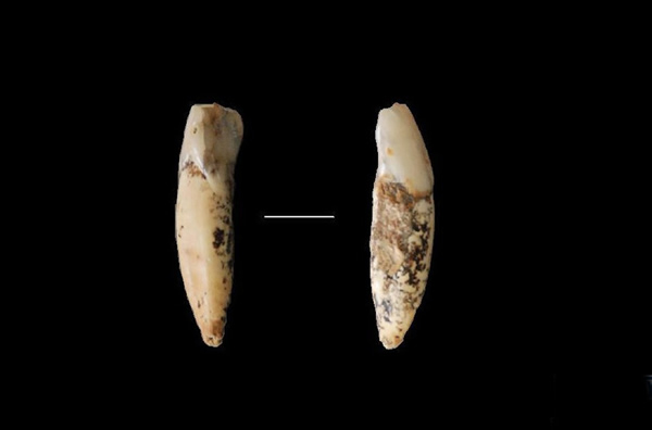 ���ﴨ�ˡ����ݻ�ʯ