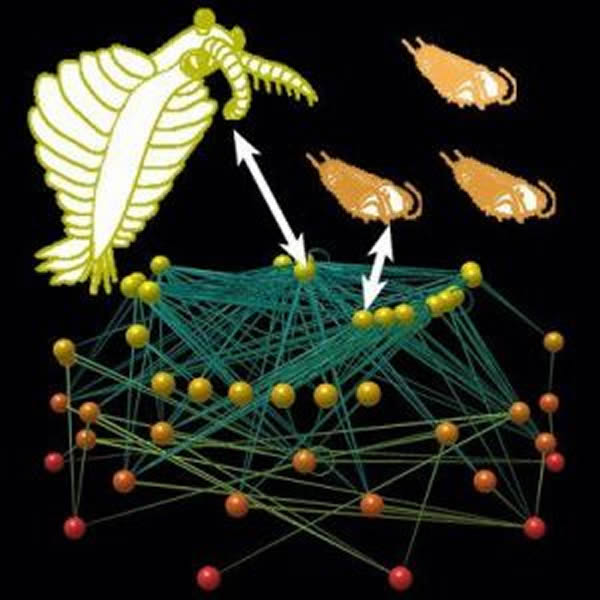 ������ǰ�����������ʳ��ϵ�������ǳ�����