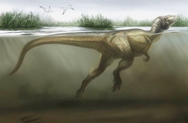 ��ʳ������Ӿ��ԭͼ