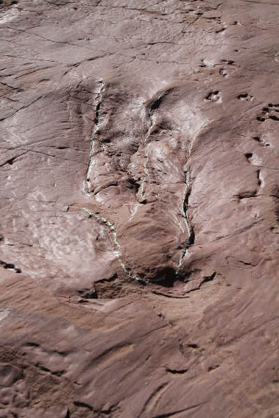 �޽����������Ӿ�㼣