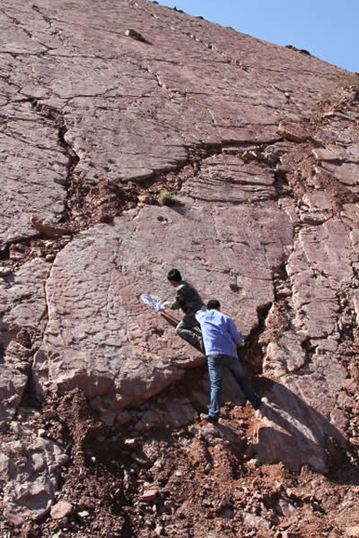 �����Ա�ڻ�ʯ�㿼��