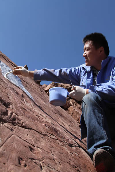 �����Ա�ڸ���ʯ����ģ��