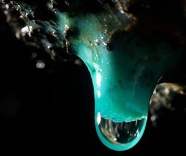 ��ѧ���Ѿ��ڶ���˹�����������������Ǻ���ʯ��Ƭ�д��ڰ����ᣬ40����ǰ��10�ְ����ᱻ��Ϊ��̫��ϵ��Դ֮ʱ�����ģ����������ݻ��������γɽ��������д��ڵ�20��