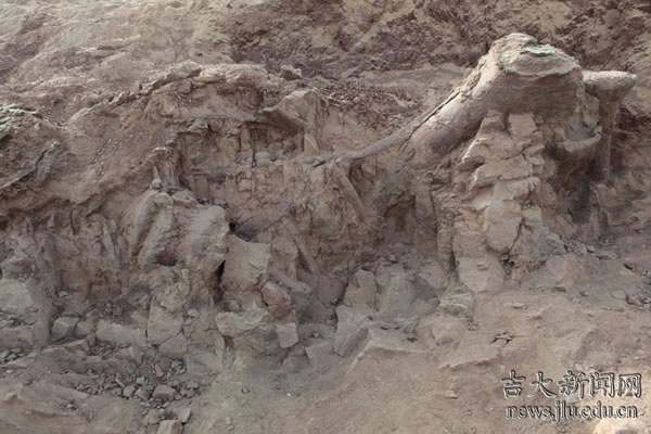 �½���³��۷���ط����ҹ�����٪�޼Ϳ�����ʯ