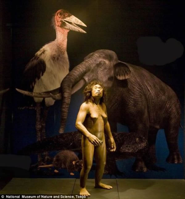 �о���Ա���֣�������˹�������Ӵ�С��­����Ĵ��ԣ���һ�������426�������׵Ľ��ӻ�ҪС����Լ���ִ��˵�������������֮һ