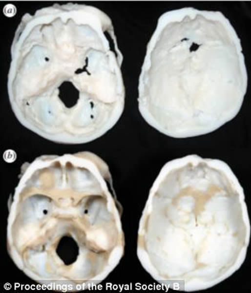 �о���Ա�Ƴ���Щ3D­�Ǵ�ӡ�����������������ǵ�����