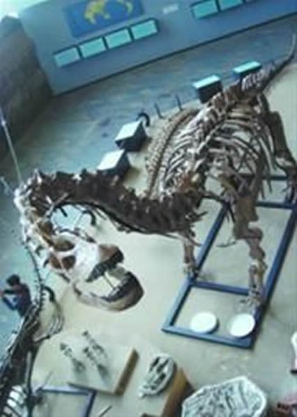 Ŀǰ�������ֵ�������������������