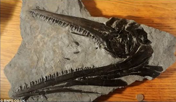 Ӣ��٪�޼ͺ�������1.95����ǰ�����������ǻ�ʯ