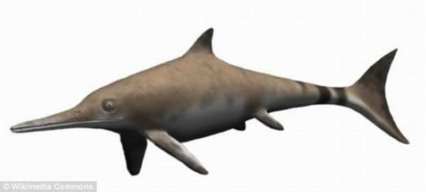 ���������������������������뺣����������������һ�����ж���