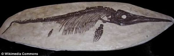 ����ͼ��һ��������������ʯ