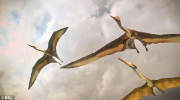 �������������ݵ��о���Ա��Ϊ����Щ���ص��µ����ϴ�Լ80%�������ﵽ100%��������