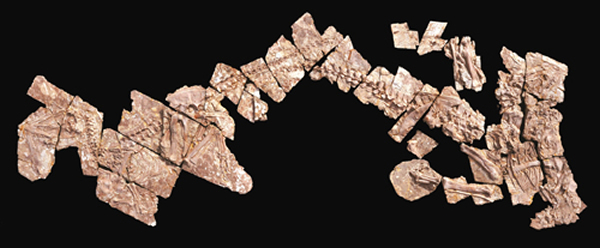 ������������ʯ