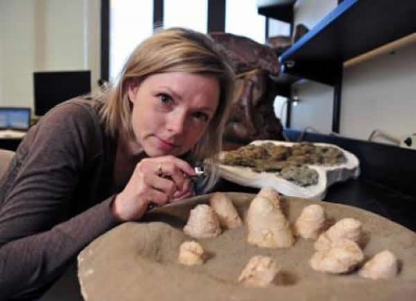 �о���Ա����ϸ����˳�������ʯ