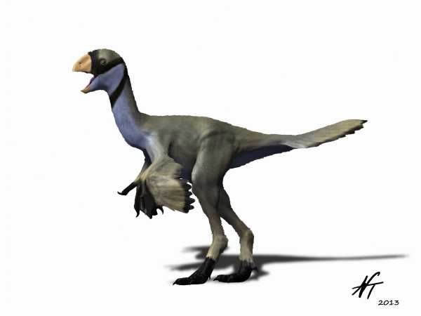 ��С���Ե�������������ԥ���ĸ�ԭͼ