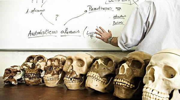 ��ѧ���Ǳ�ʾ�������ʳ��û������Դ�Ժ���ʳ���DHA������㲻�᳤������Ĵ��ԡ�