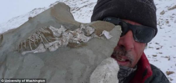 ��һ���ϼ���̽�ջ�У�Iziko�Ϸǲ���ݵ��޽ܡ�ʷ��˹��������һ��ԭ��(ѧ����Prolacerta)�Ļ�ʯ��