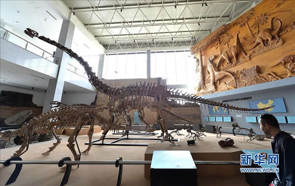 ��������������ʽ��������������ʯ���ҵ��ʹ�԰�����