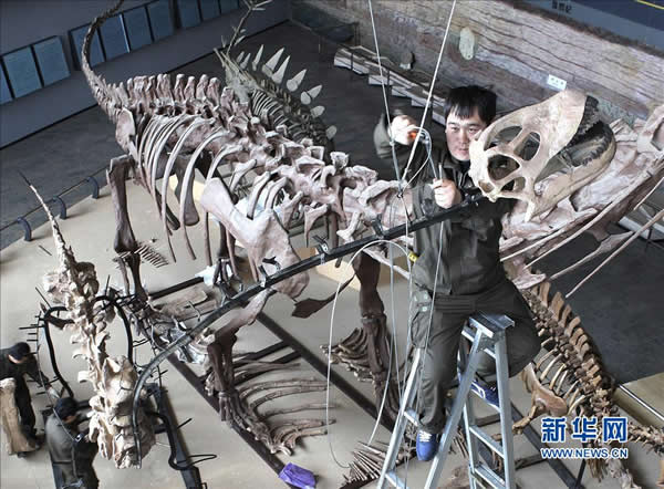 ��������������ʽ��������������ʯ���ҵ��ʹ�԰�����