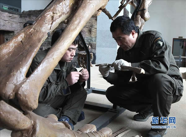 ��������������ʽ��������������ʯ���ҵ��ʹ�԰�����