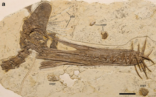 ���ֹ���