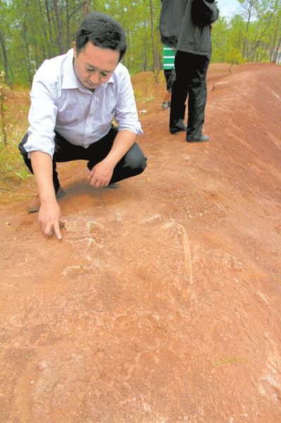 ������ĳɽ���У�������ʯ��¶�����档