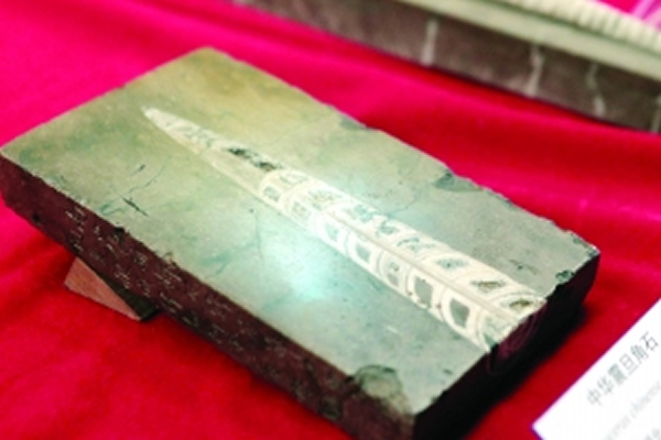 ��ͥ���ղص��л��𵩽�ʯ