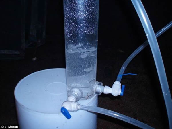 ��ѧ���ڼ��ô����2000���״�����Զ�ŵ���ˮ������30���꣬˵�������ڶ�ϸ���������ǰ�Ѿ�����