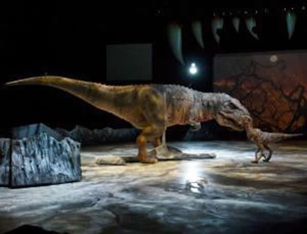 �����о��������Կ�������û�ге��������ӵ�����