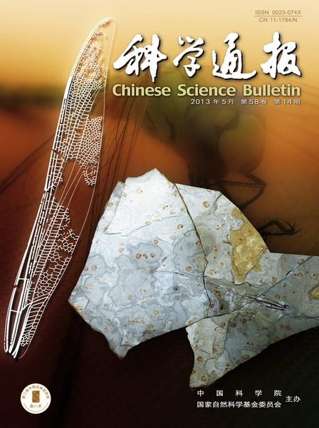 ����ѧͨ��������