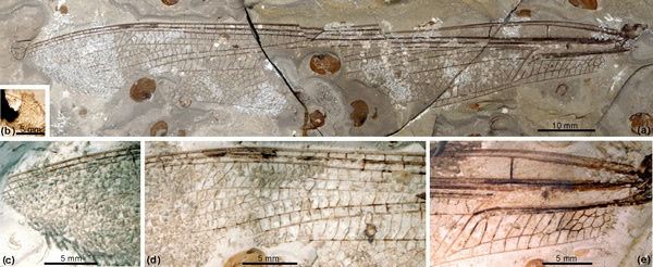 �����޸��Z��(��������)ǰ���ѧ��Ƭ