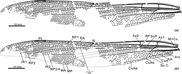 �����޸��Z��(��������)ǰ������ͼ(a)�͸�ԭͼ(b)