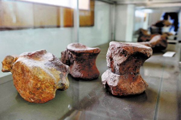 Ϧ�������ҵĿ�����ʯ