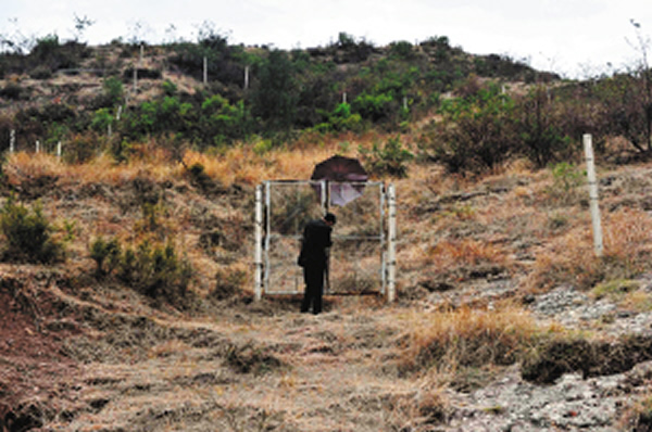 �ø�˿����ˮ����Ȧ�����Ļ�ʯȺ������