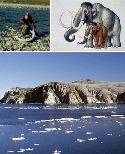 ������������Ϣ�أ����������