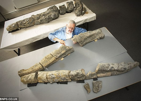 Ӣ����ʯ�ղؼһ���5��ʱ����ɾ���ʷǰ�������ж���ͷ�ǻ�ʯ�޸�����