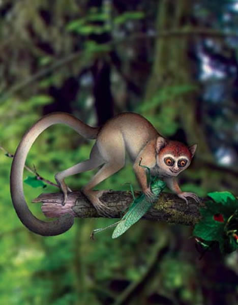 ������˹���︴ԭͼ����ϲ����ͼ��