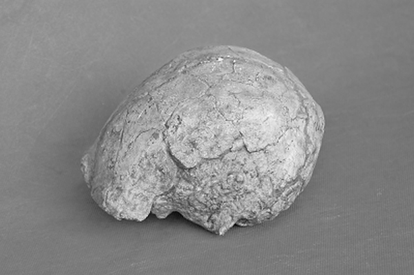 ����Գ��ͷ�ǹ�