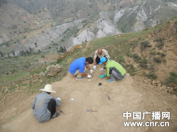 ���Ź������ڷ����ֳ�����