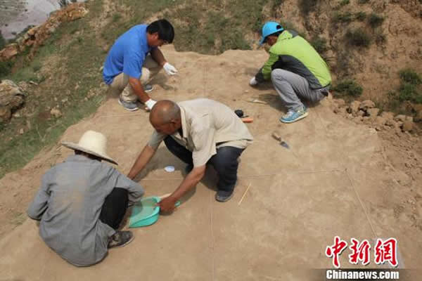 ���Ŷ�Ա���ڶ��ͷ���ַ���з���