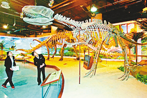 ����������