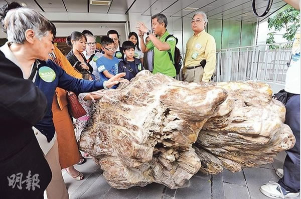 ����������Ĺ㳡���������Ļ�ʯ��԰��