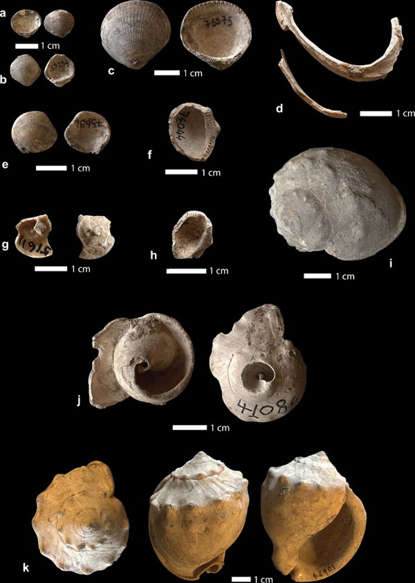 ���޼׿��ද��ĳߴ���������