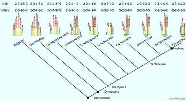 �й�������ָ�ݻ����ּ�˵�ıȽϡ������ǹ�ͼ��