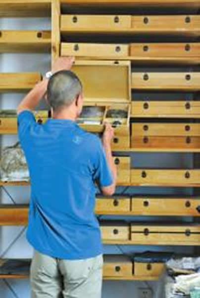 ��ʯ�����ղظ��໯ʯ��չ��