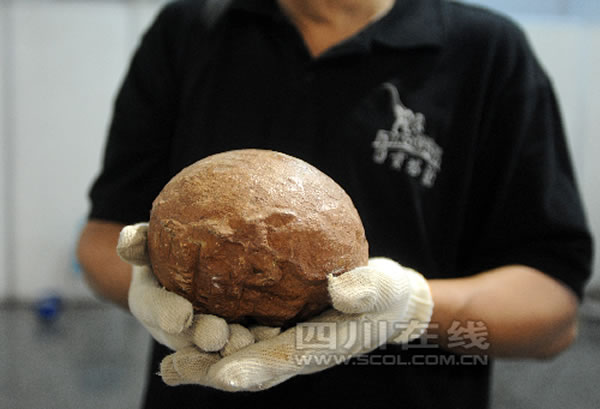 ����ر��Ŀ������������չ����ʽ��չ