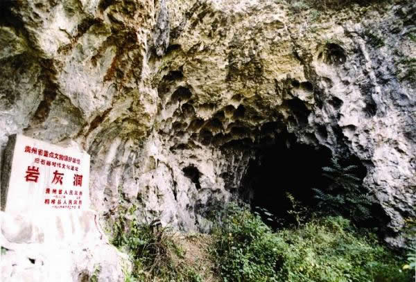 �Ű��һҶ���ͩ���ˡ���ַ