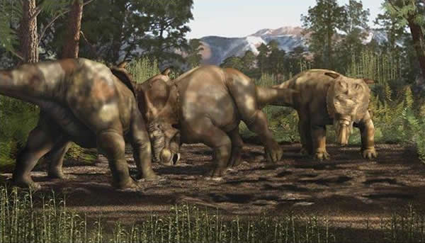 �����Ҷ�Pachyrhinosaurus perotorum����Ⱦͼ��ʾ�˿�����ͷ���ඥ�Է���