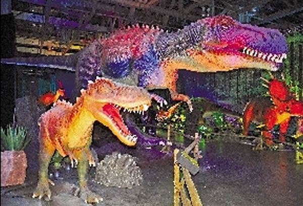 ����չ���������