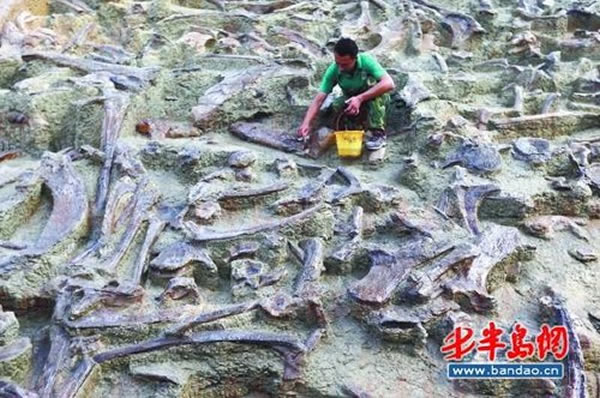 ��ǿ������뻯ʯ�򽻵�����